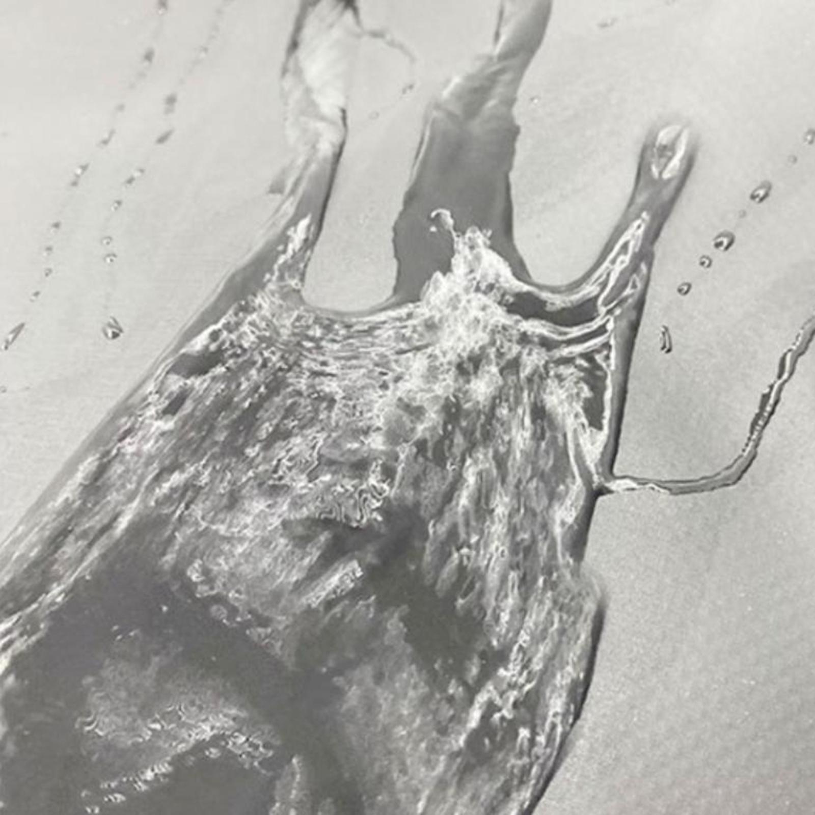Waterproof Long Flippers Backp - Snorkeling Gear 评论和价格